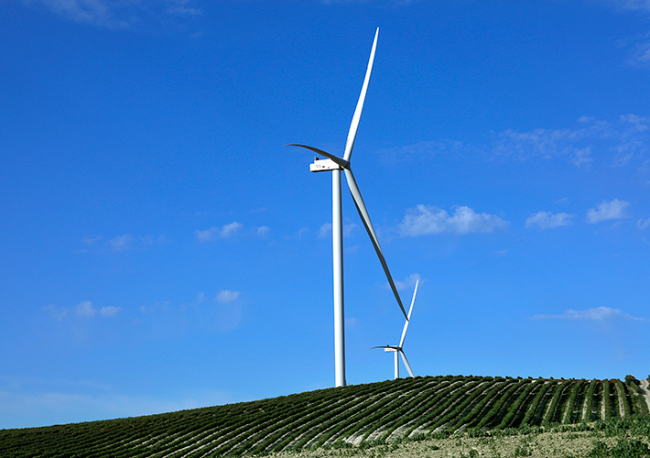 Foto Verbund Green Power Iberia y Capital Energy ponen en marcha el parque eólico Loma de los Pinos, en Sevilla, de 39 MW.